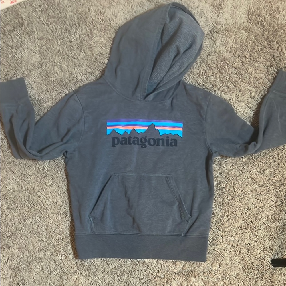 Patagonia Kids Hoodie Charcoal with Blue and Purple Logo
